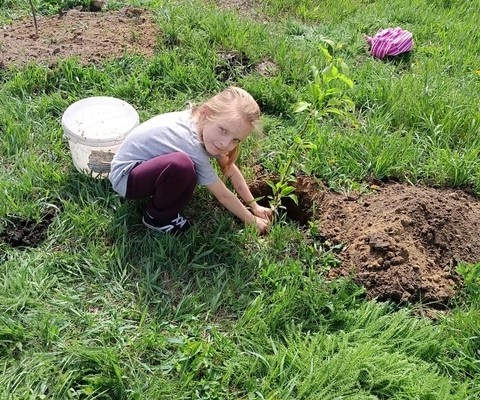 Воспитание культуры природолюбия.